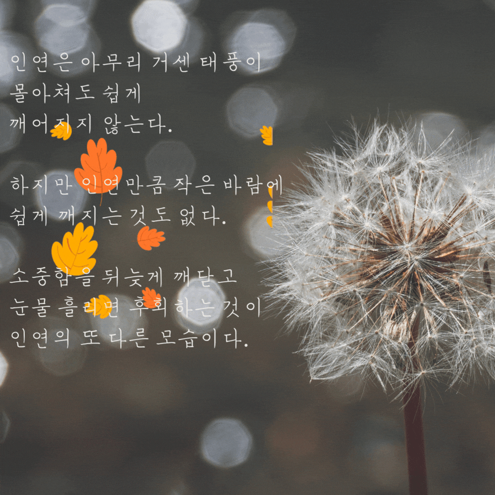 인연에 관한 좋은 글귀 모음