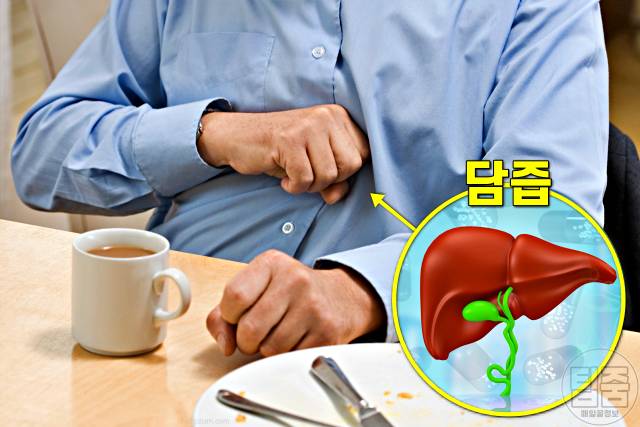 간이 안좋으면 나타나는 증상,소화불량 설사,간경화 증상,간이안좋은증상,팁줌