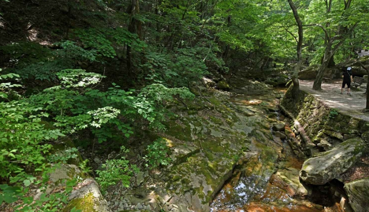 공주 가볼만한곳 베스트10