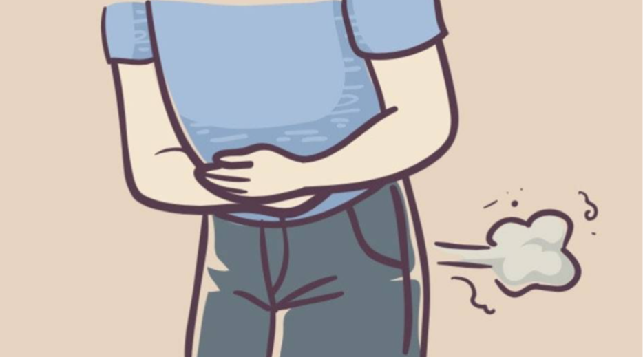 양배추의 효능 부작용