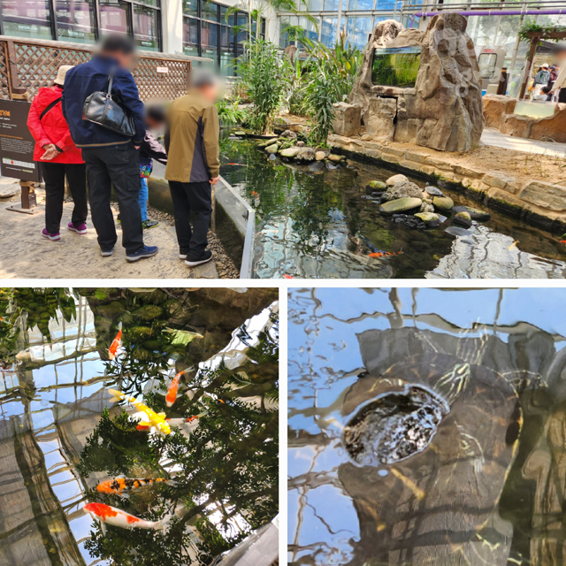 아산시-생태곤충원