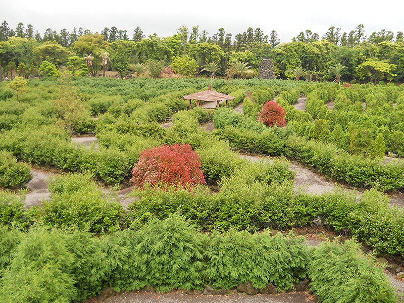 메이즈랜드(Maze Land)