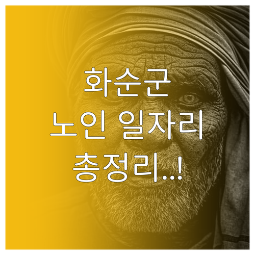 화순군 어르신 일자리 유형 및 공익활..