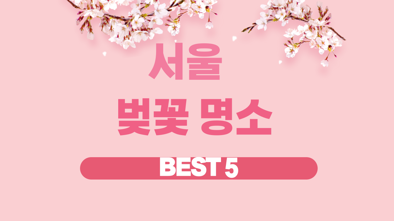 서울 벚꽃 명소 BEST 5 총정리 2026 최신 개화시기 및 숨은 명소까지 한눈에 보기