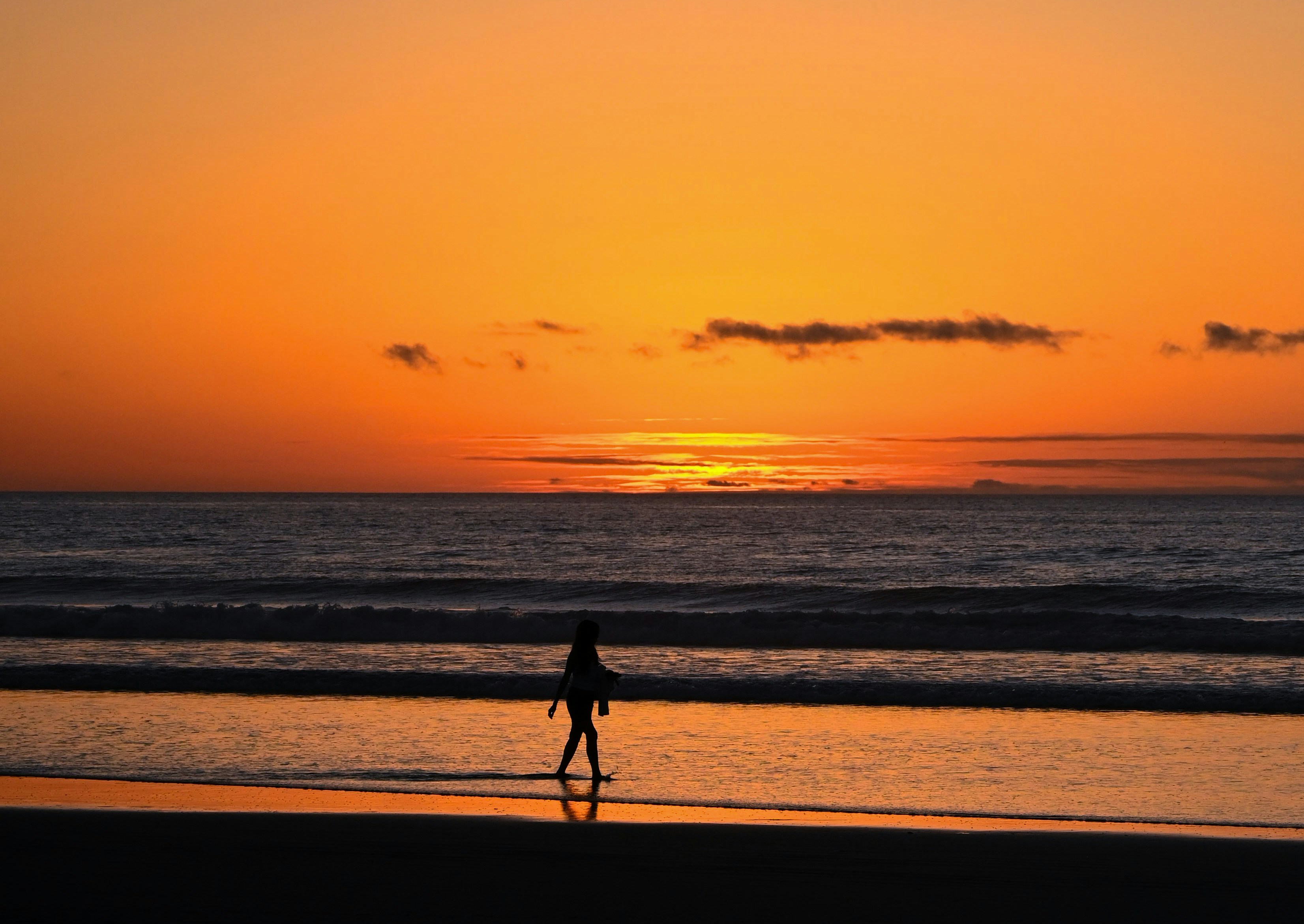 해 질 무렵, 노을 아래 고요한 바닷가를 천천히 걷는 한 사람의 뒷모습 관련 사진