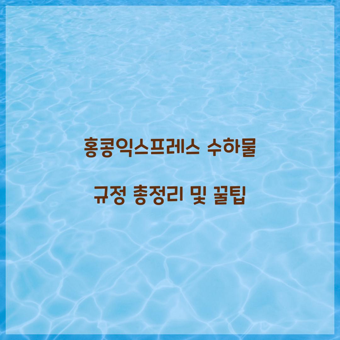 홍콩익스프레스 수하물