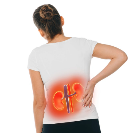 신우신염의 주요증상