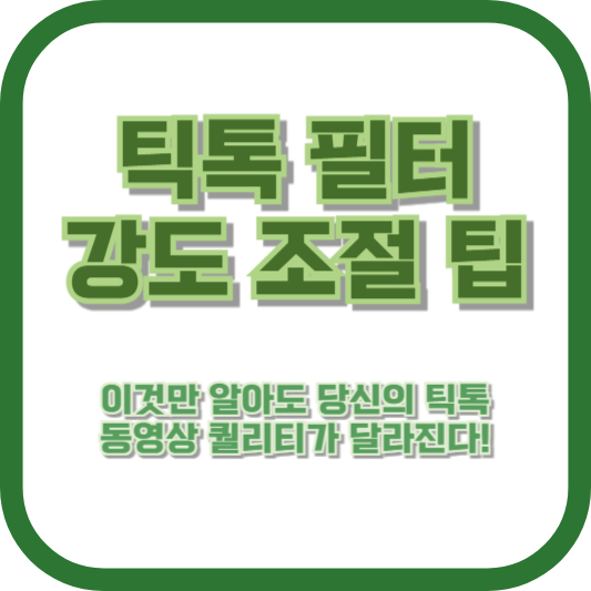 틱톡 필터 강도 조절 팁, 이것만 알아도 당신의 틱톡 동영상 퀄리티가 달라진다!