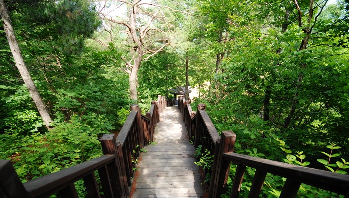 경북도립수목원 관람 가이드