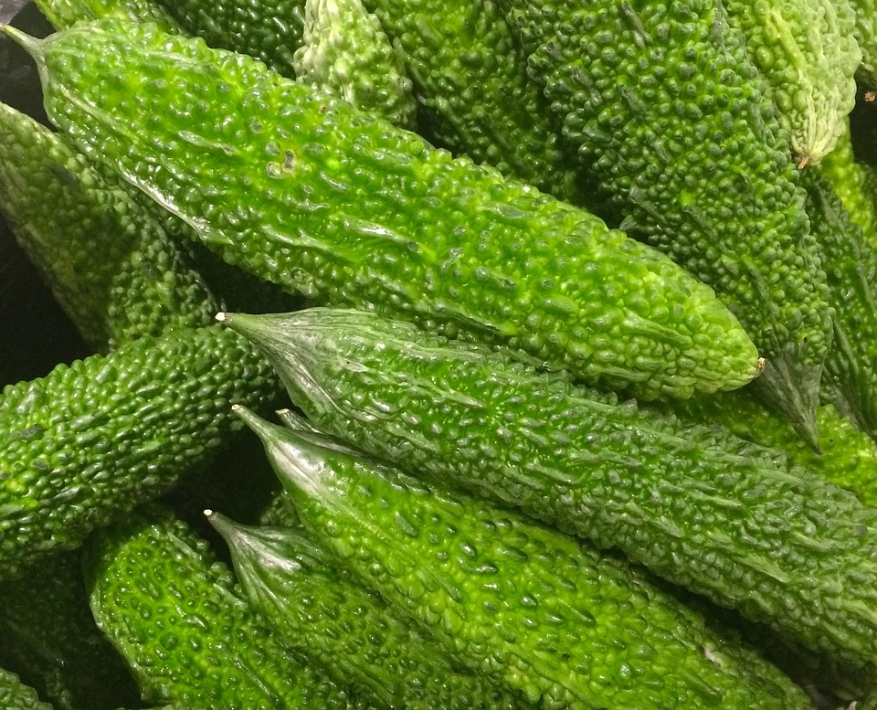 표면이 올록볼록하고 길쭉한 모양의 신선한 초록색 여주(비터멜론)