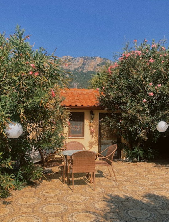 마당 조경 인테리어