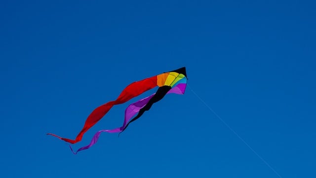 설날 연날리기 도전! 나만의 연 디자인 만들기