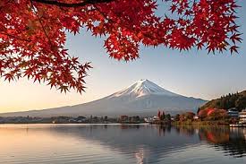 독서지도사 자격증 취득 방법부터 전망까지 완벽 가이드