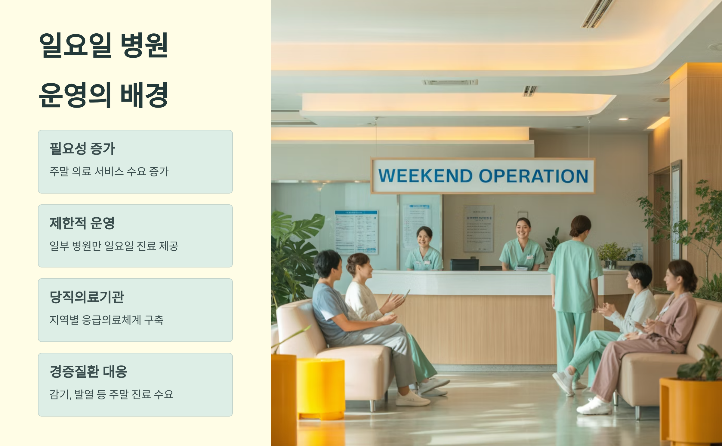 일요일 병원 운영의 배경