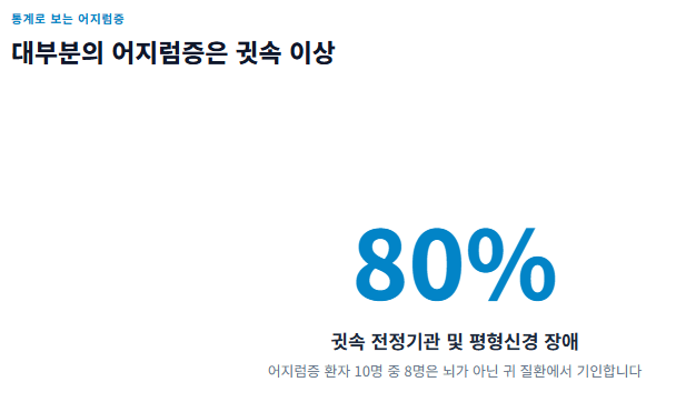 어지럼증의 원인