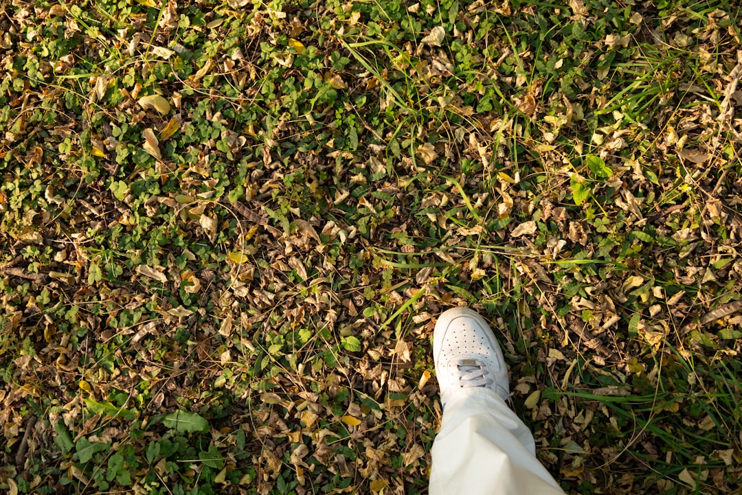 Step