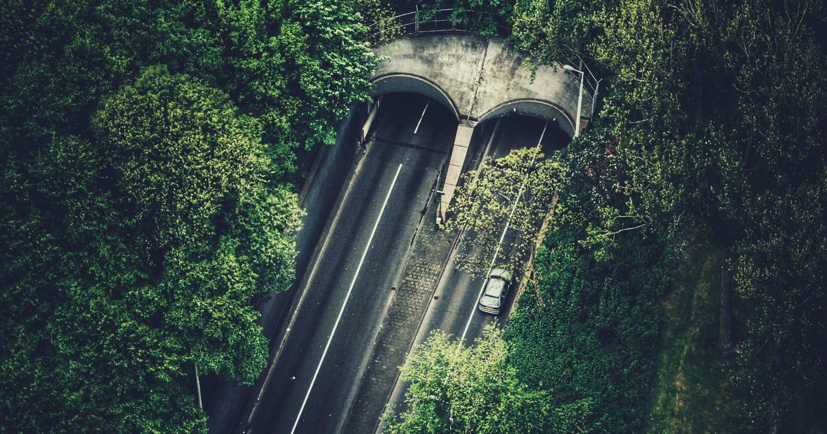 AI chatbot customer service