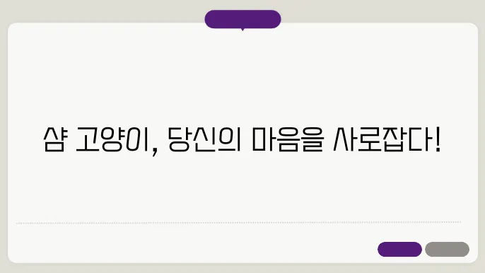 샴 고양이의 매력적인 성격과 특징