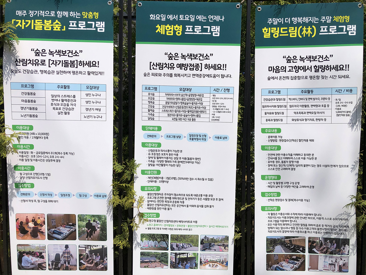 불암산 산림치유센터 프로그램 안내