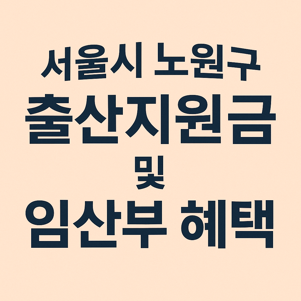 서울시 노원구 출산지원금 및 임산부 혜택