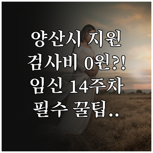 2025 양산시 모자보건 지원 임신 ..