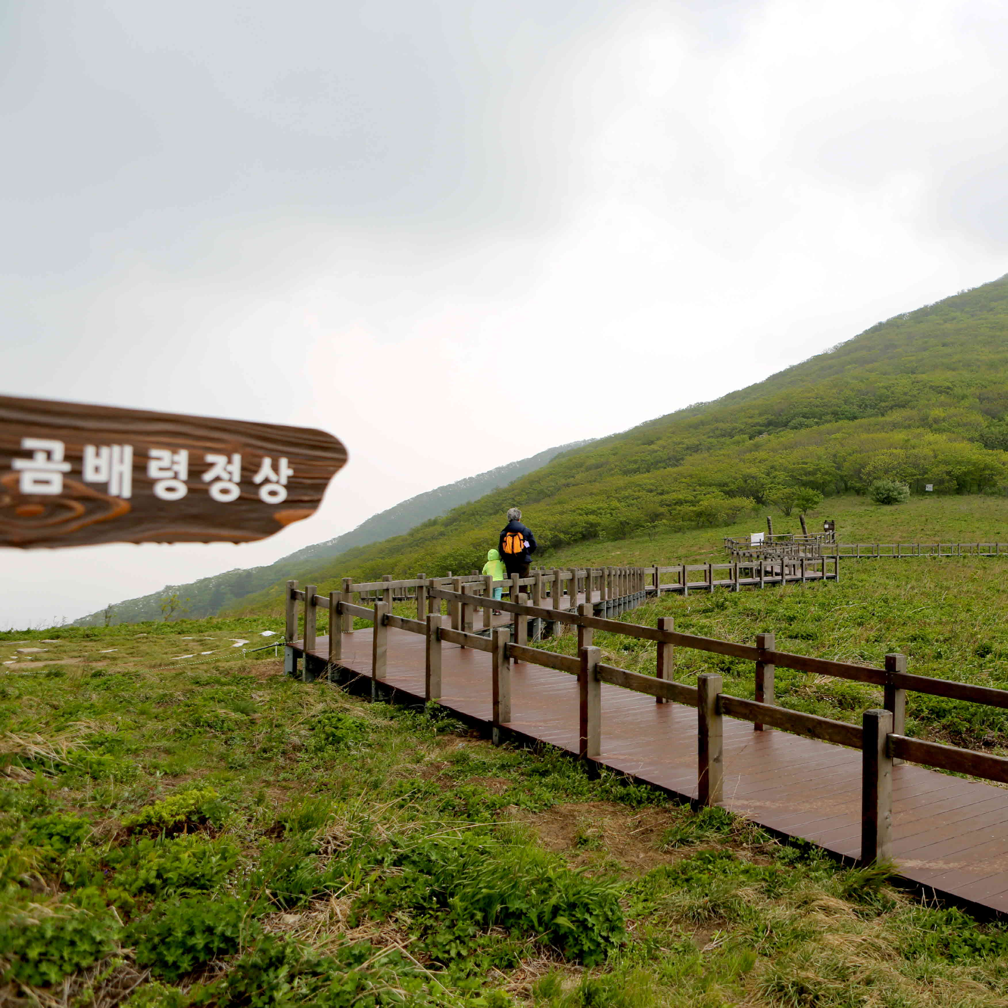 곰배령 예약하기