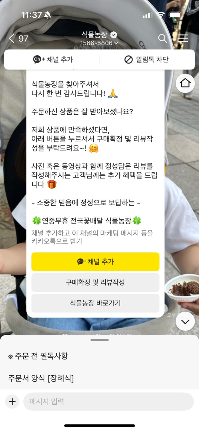 만족스러웠던 식물농장 부산 중구 개업 화분, 개업 화분 추천, 예쁜 개업 선물, 개업 화분 당일 배달 (내돈내산)