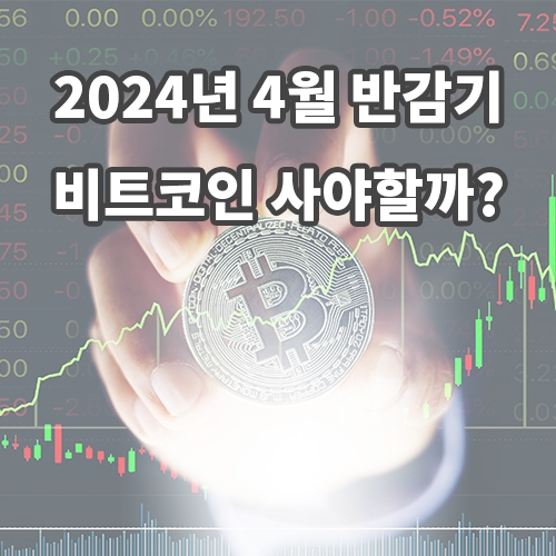 비트코인 반감기 시세