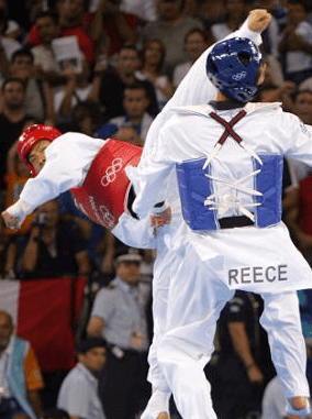 발차기 계보 문대성선수