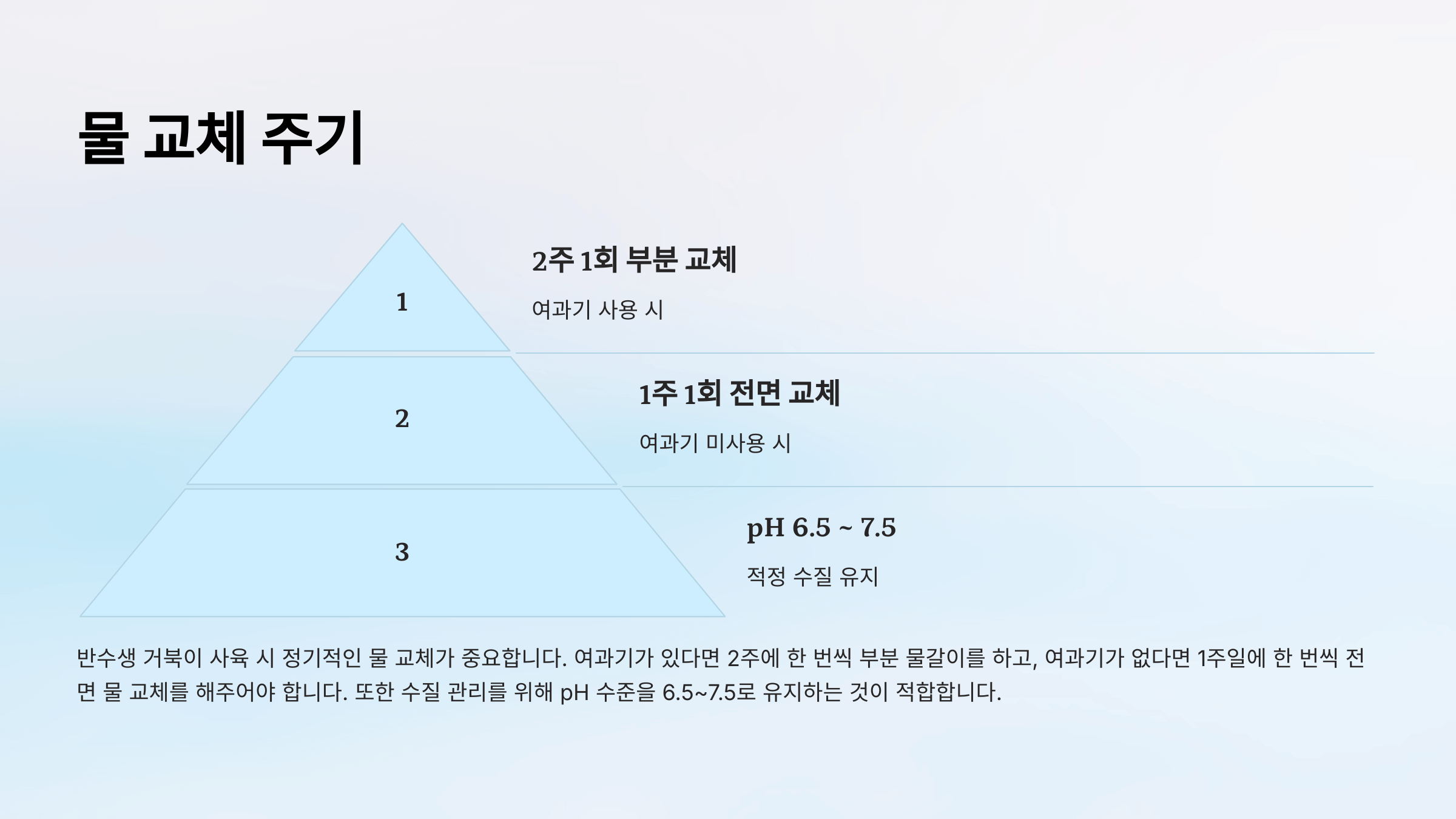 반수생 거북이 사진입니다.