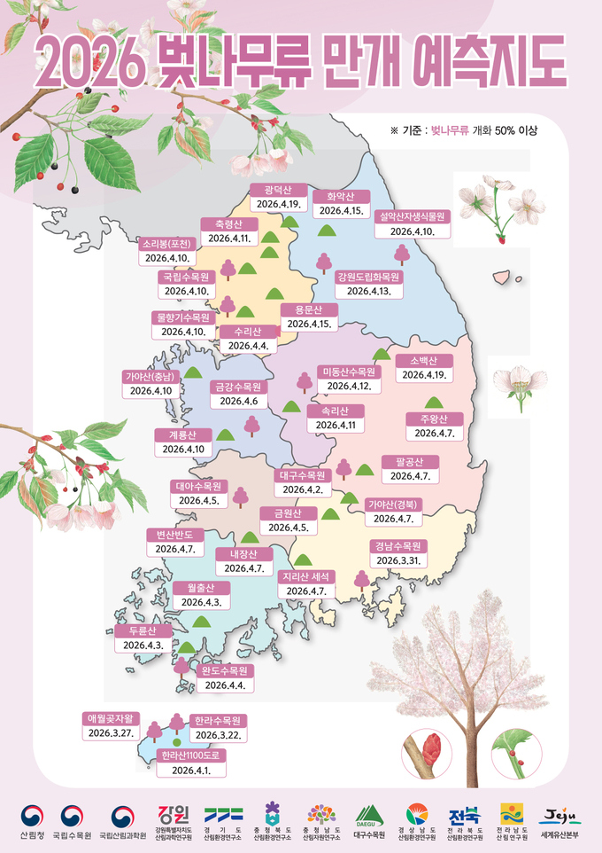 2026 화담숲 벚꽃 개화시기