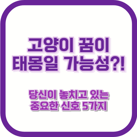 고양이 꿈이 태몽일 가능성?! 당신이 놓치고 있는 중요한 신호 5가지