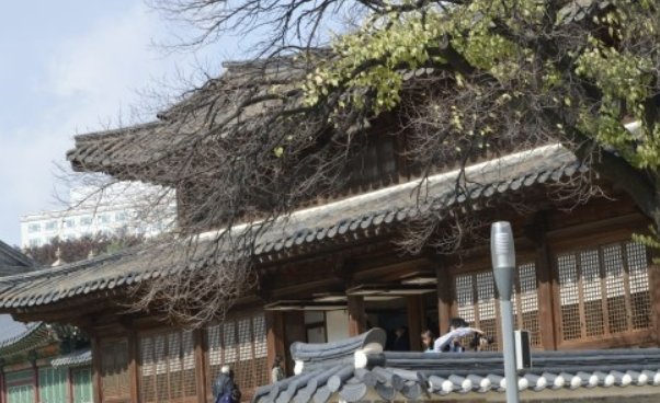 Alt 속성 문제 해결 설명 이미지