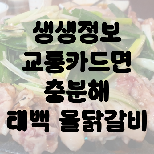 생생정보 교통카드면 충분해 태백 물닭갈비