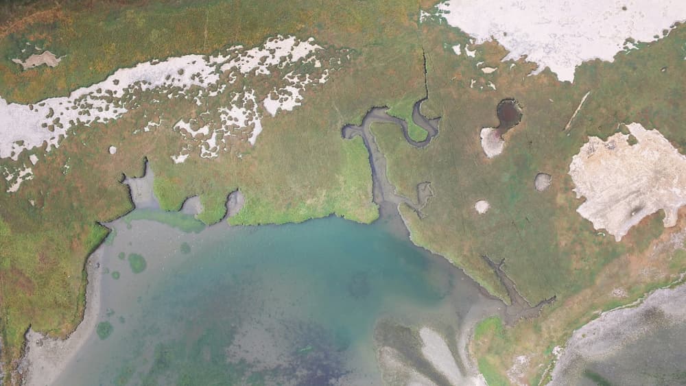 캄차카반도 8.7 지진 발생 요약 인포그래픽