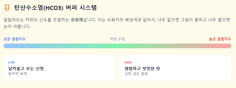 탄산수소염(HCO3) 버퍼 시스템