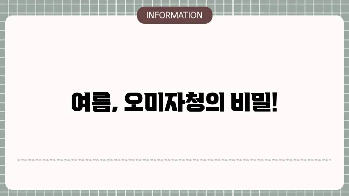 여름엔 오미자청 효능 및 부작욨 먹늕 유통기한