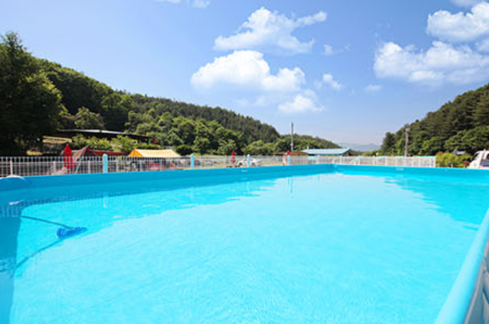 경기-가평에-링크독-애견파크-수영장-사진-입니다.