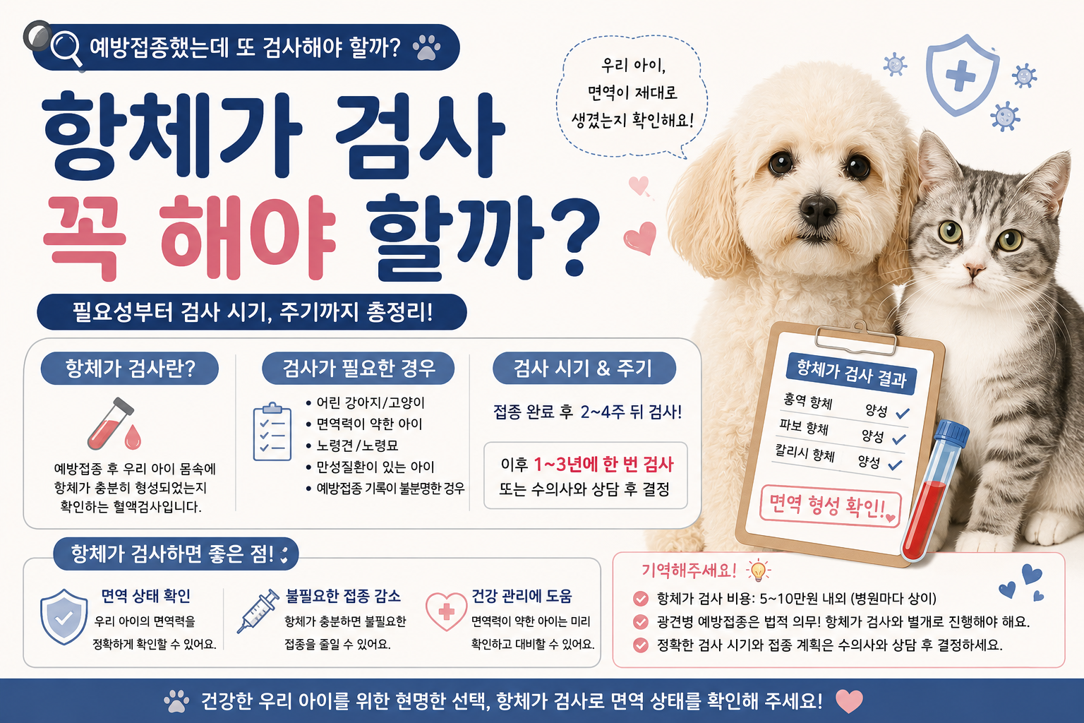 항체가 검사