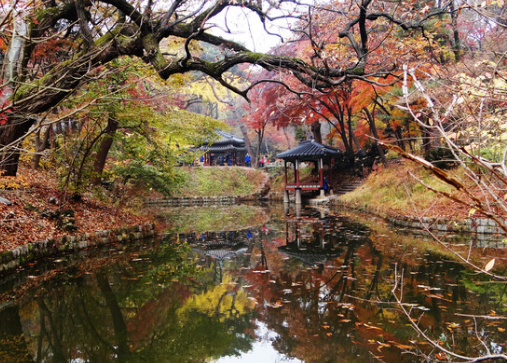 창덕궁 야간개장