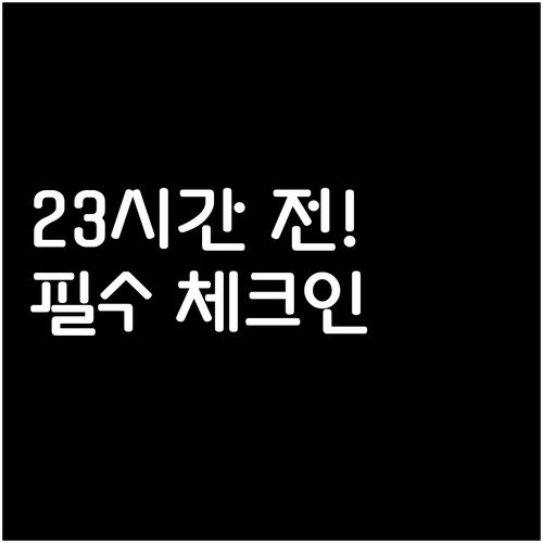 스위스 항공 온라인 체크인 23시간 ..