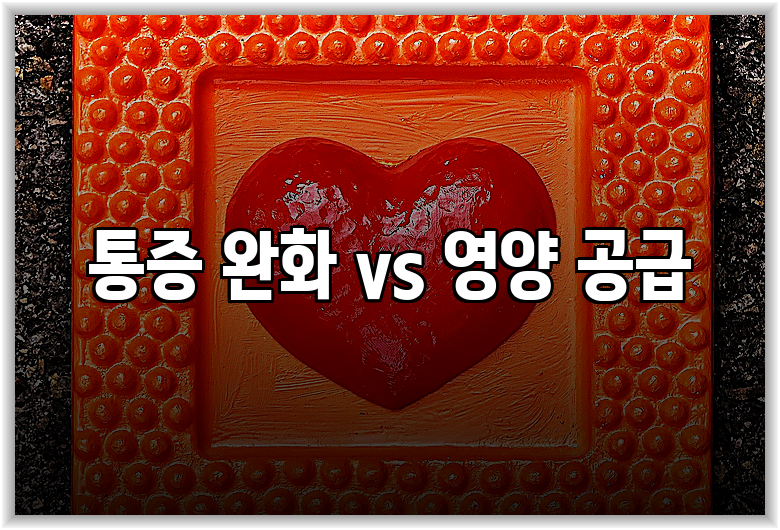 통증 완화 vs 영양 공급