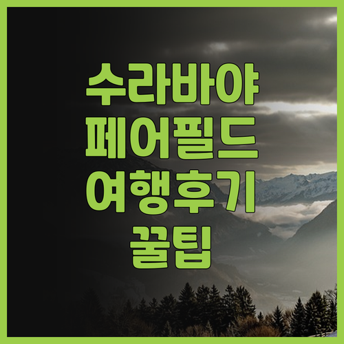 페어필드 바이 메리어트 수라바야 완벽