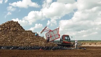 상토 선택 화분심기 초보기준 비료섞는법 안전 가이드_4