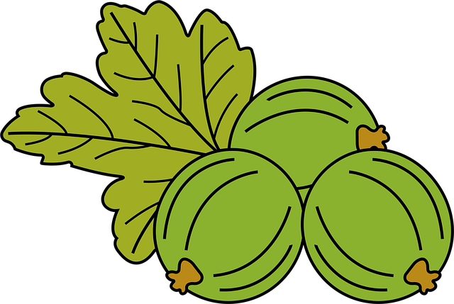 40대 다이어트 방법