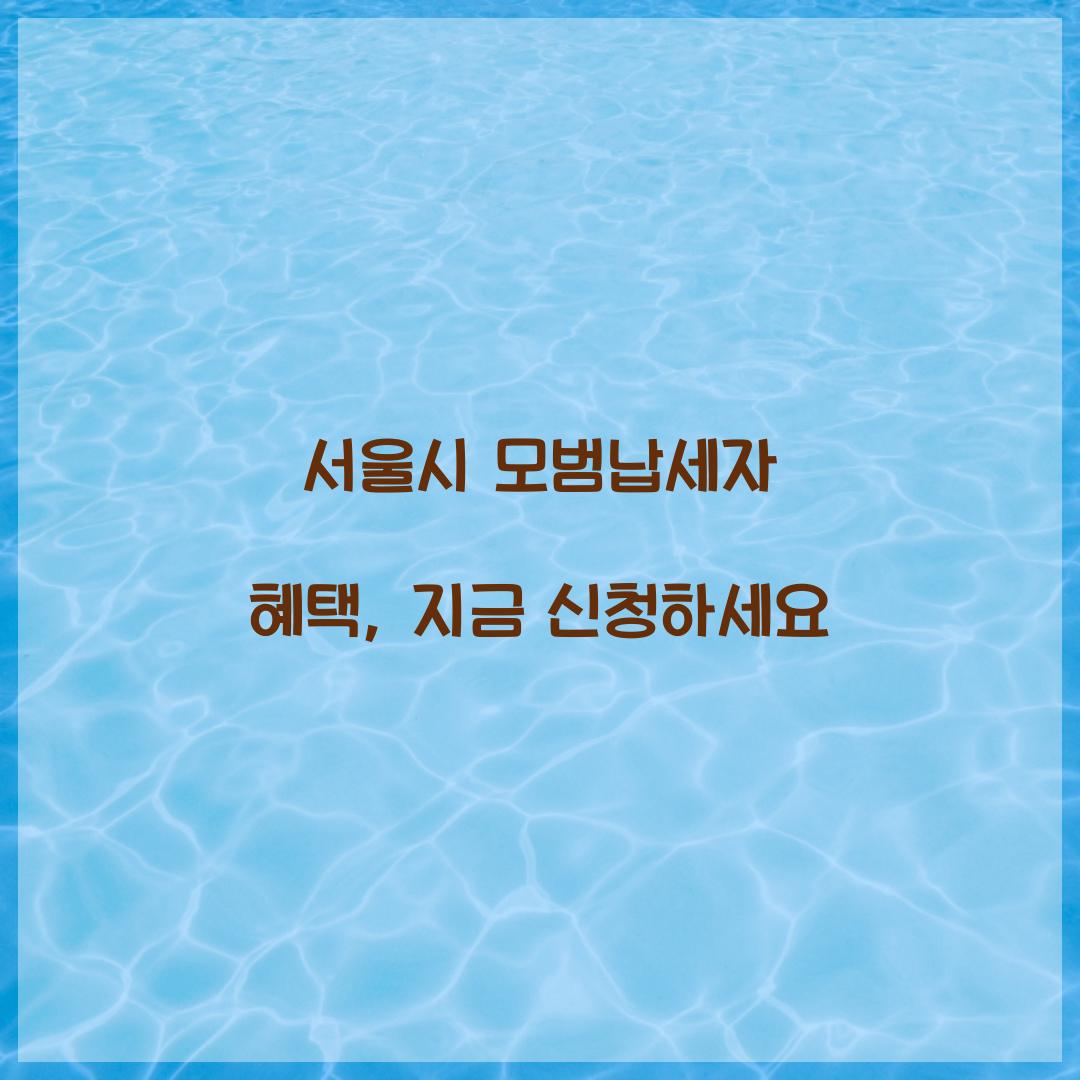 서울시 모범납세자 혜택