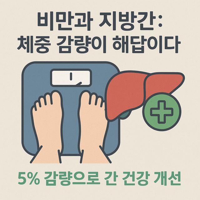 지방간 개선, 체중 5% 줄이면 가능(출처: 자체제작)