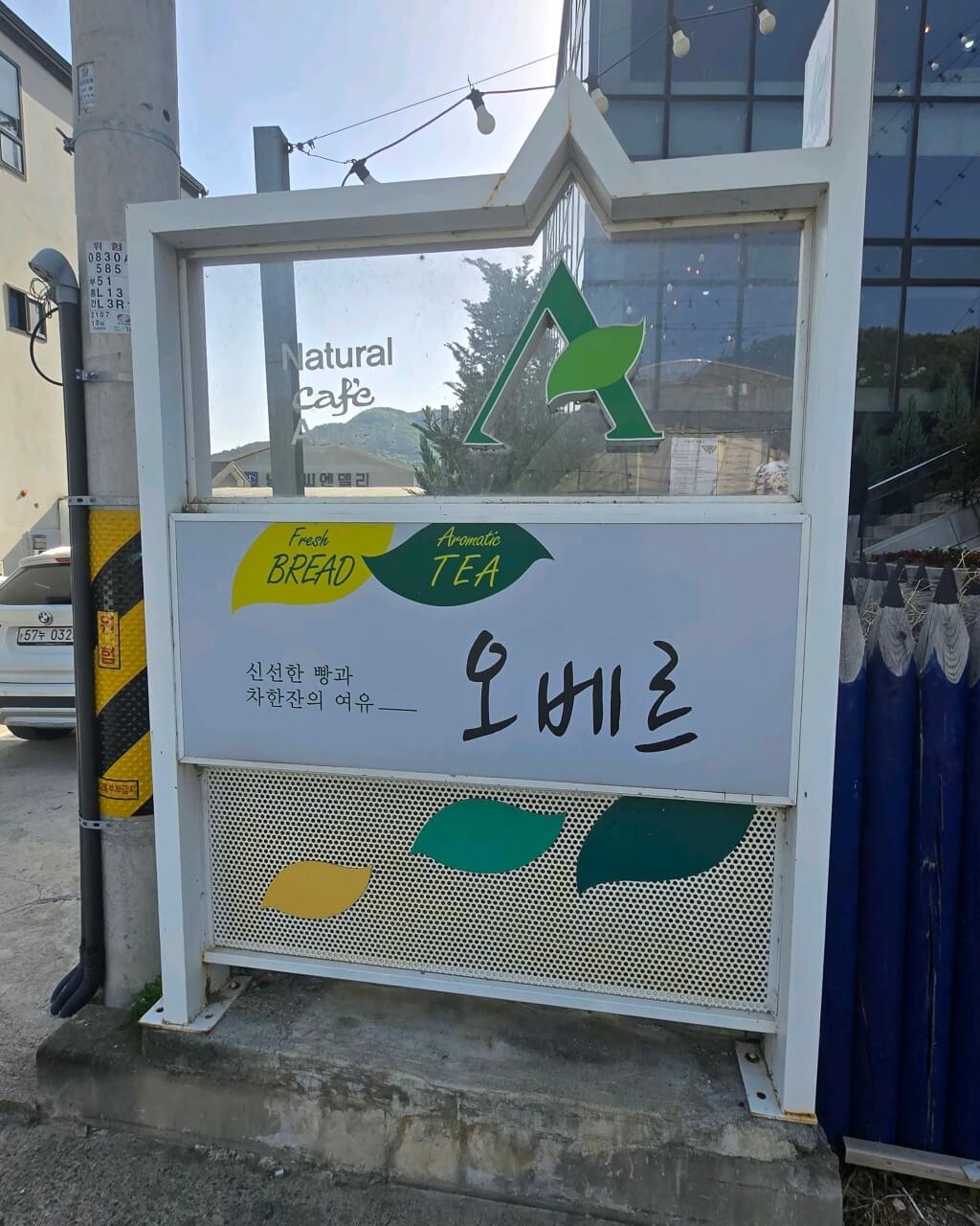 오늘N 커피 한잔할래요? 경북 경주시 식물원 분위기 카페 오베르 경주여행 갈만한 곳 오늘N 2501회