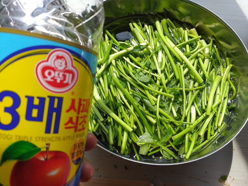 미나리김치 담는 법