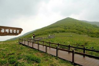곰배령 예약하기